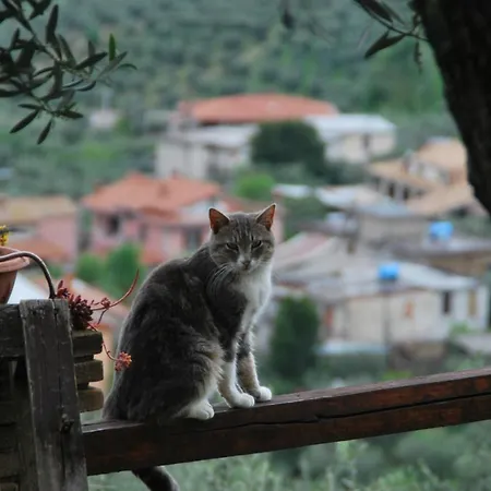 A Casa Di Silvia Rocca Massima