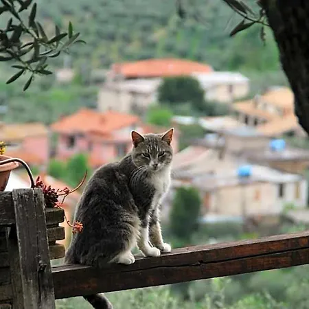 Bed & Breakfast A Casa Di Silvia 3*