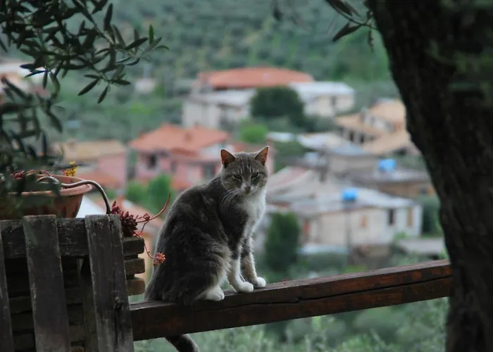 A Casa Di Silvia Rocca Massima